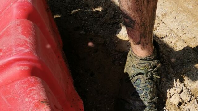 qrf